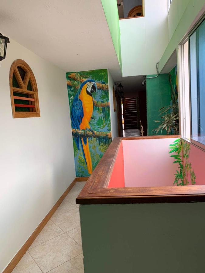 Hotel Las Guacamayas Guatapé Eksteriør bilde
